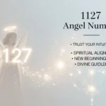 1127 angel number