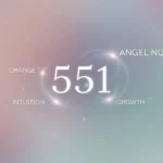 551 anel number