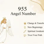 955 angel number meaning